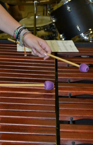 2014 07 05 Sommerserenade (19)